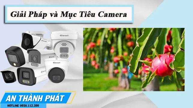 Tư Vấn Giải Pháp Lắp Camera Vựa Thanh Long