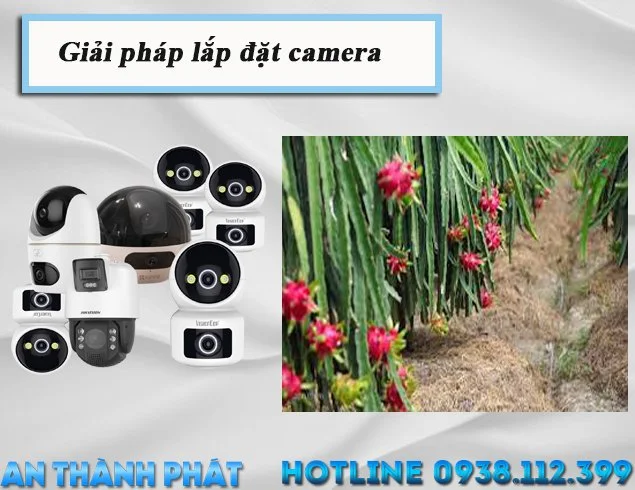 Top 5 Camera Hai Mắt Sắc Nét Tốt Nhát