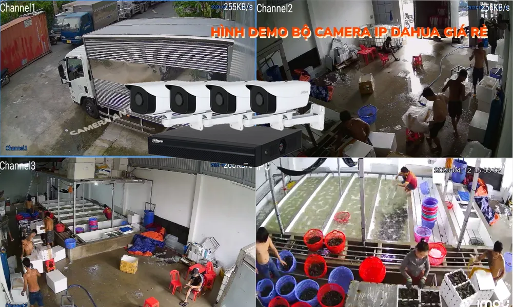 hình ảnh demo bộ camera ip giá rẻ DH-IPC-HFW1230A-A-VN