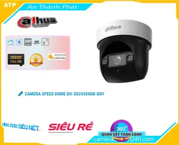 Camera IP Speed Dome DH-SD29204DB-GNY