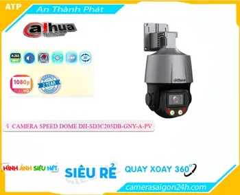 Camera Ip POE Xoay 360 DH-SD3C205DB-GNY-A-PV
