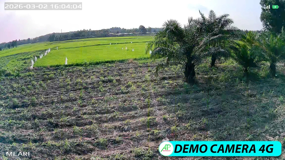 Lắp Camera Dùng Sim 4G