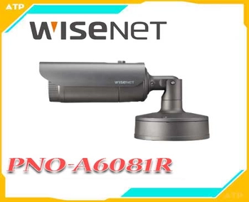 Camera Wisenet PNO-A6081R, PNO-A6081R, Camera PNO-A6081R, PNO-A6081R IP, PNO-A6081R có AI