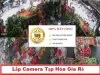 Lắp Camera Tạp Hóa Gía Rẻ,camera quan sat tap hoa gia re, lap camera tap hoa gia re, camera gia re, camera tap hop, camera cua hang,camera tap hoa co ghi am, camera ghi am